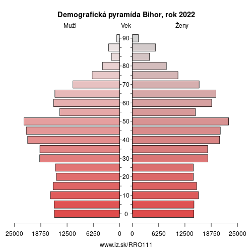 demograficky strom RO111 Bihor demografická pyramída