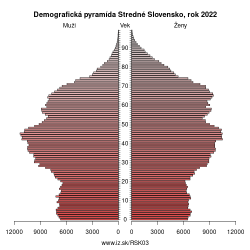 demograficky strom SK03 Stredné Slovensko demografická pyramída