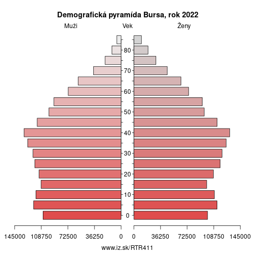demograficky strom TR411 Bursa demografická pyramída
