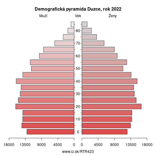 demograficky strom TR423 Duzce demografická pyramída