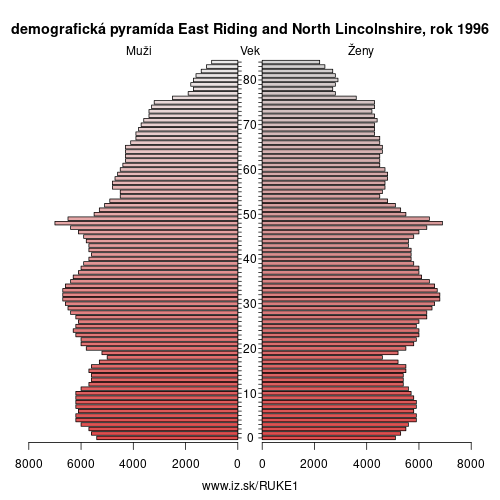 demograficky strom UKE1 East Riding and North Lincolnshire 1996 demografická pyramída
