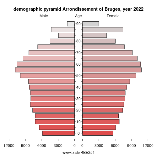 demographic pyramid BE251 Arrondissement of Bruges