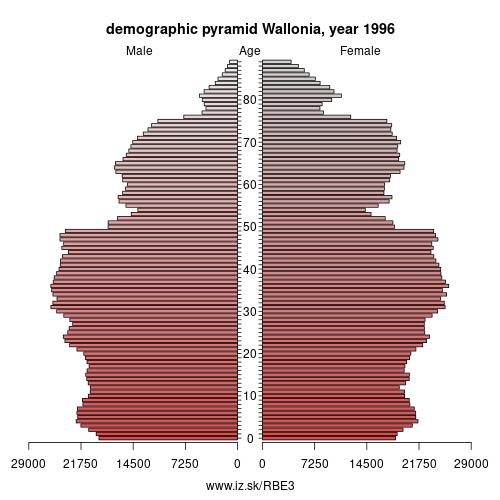 demographic pyramid BE3 1996 Walloon Region, population pyramid of Walloon Region