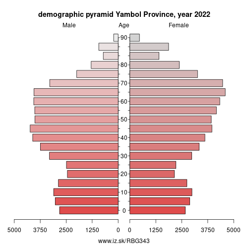 demographic pyramid BG343 Yambol Province
