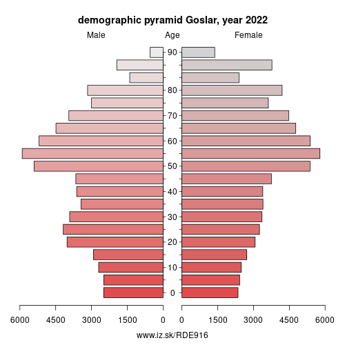 demographic pyramid DE916 Goslar