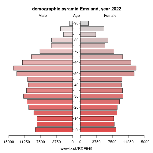 demographic pyramid DE949 Emsland