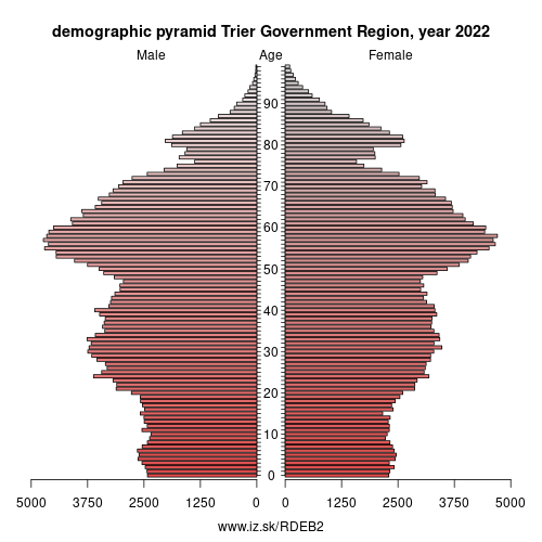 demographic pyramid DEB2 Trier Government Region