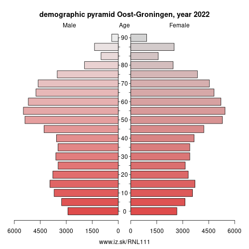 demographic pyramid NL111 Oost-Groningen
