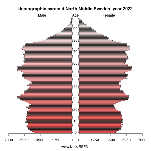 demographic pyramid SE31 North Middle Sweden