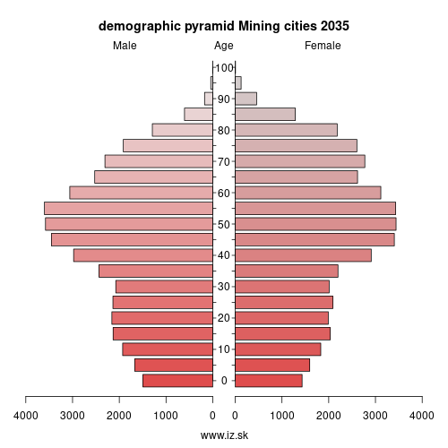 demographic pyramid Mining cities 2035