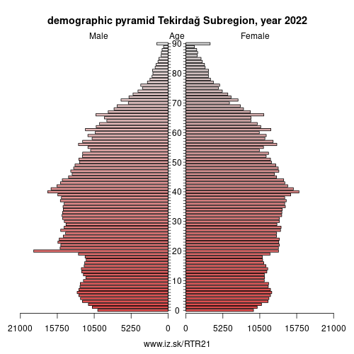 demographic pyramid TR21 Tekirdağ Subregion