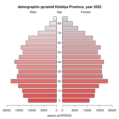demographic pyramid TR333 Kütahya Province