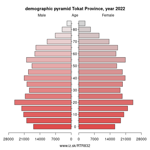 demographic pyramid TR832 Tokat Province