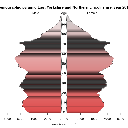 demographic pyramid UKE1 East Yorkshire and Northern Lincolnshire