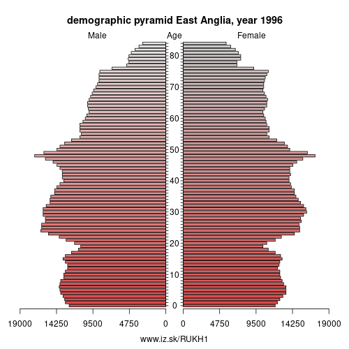 demographic pyramid UKH1 1996 East Anglia, population pyramid of East Anglia