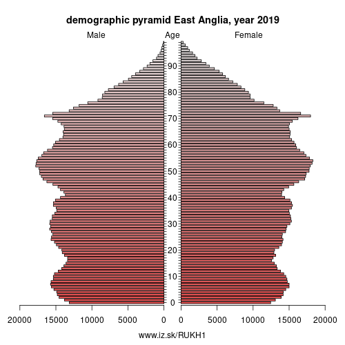 demographic pyramid UKH1 East Anglia