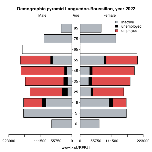 demographic pyramid FRJ1 Languedoc-Roussillon based on economic activity – employed, unemploye, inactive