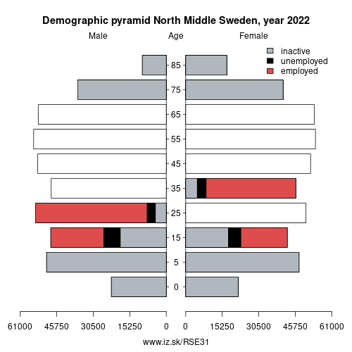 demographic pyramid SE31 North Middle Sweden based on economic activity – employed, unemploye, inactive