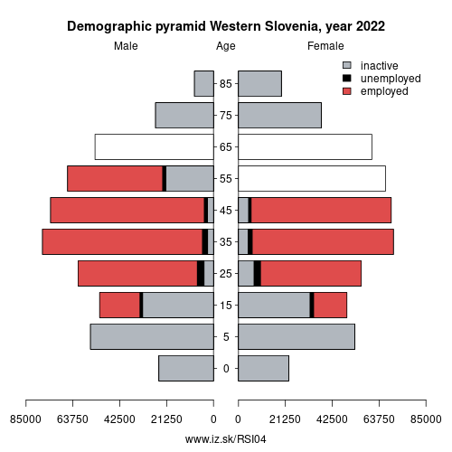 demographic pyramid SI04 Western Slovenia based on economic activity – employed, unemploye, inactive