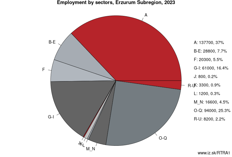 Employment by sectors, Erzurum Subregion, 2023