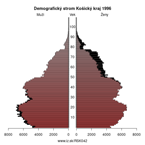 demografický strom SK042 Košický kraj v roku 1996