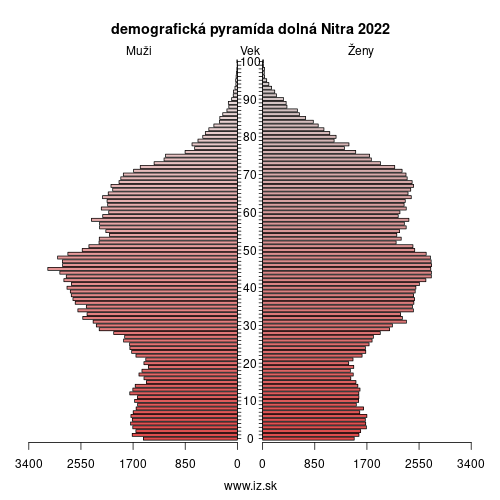 demo­grafická pyramída dolná Nitra 2024