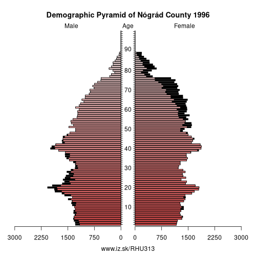population pyramid of HU313 Nógrád County in 1996